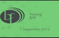 Zaposlovanje mladih – Young Bled Strategic Forum (Eng.)