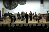 Koncert godalnega orkestra Arseia